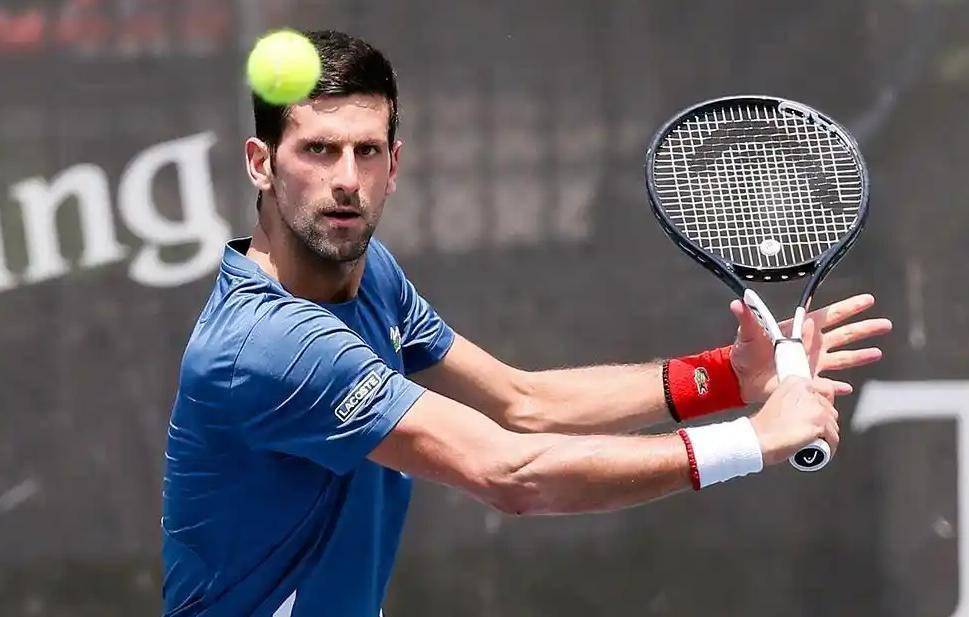 包含德约科维奇新星大比分获胜表现突出，雄鹿前途光明！的词条