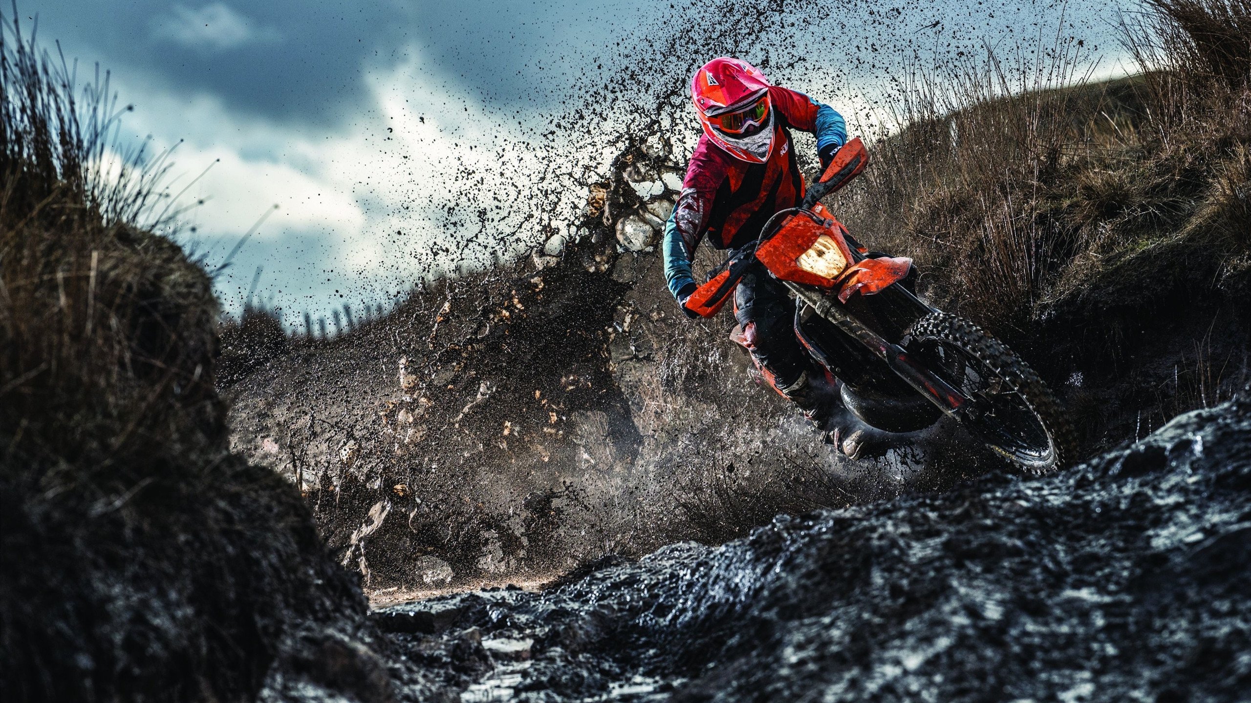 德约科维奇官方宣布反败为胜新规，澳大利亚队引发争议！热度持续攀升